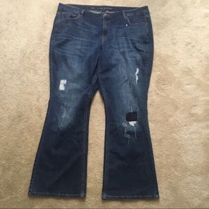 Lane Bryant Jeans Bootcut Distressed Stretch Plus